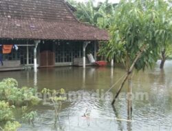 Rumah dan Sawah Terendam Banjir di Desa Mintobasuki, Kerugian Capai Ratusan Juta Rupiah