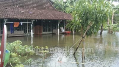 Rumah dan Sawah Terendam Banjir di Desa Mintobasuki, Kerugian Capai Ratusan Juta Rupiah