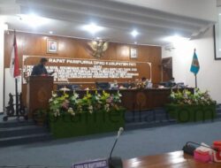 Dewan Pati Minta Pemerintah Perhatikan Guru Pendidikan Usia Dini
