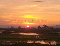 Dewan Pati Minta Pendistribusian Pupuk Lebih Tertata