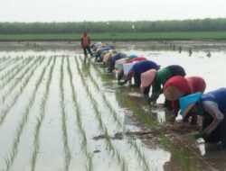 DPRD Pati Sebut Pertanian Tumbuh Positif Meski di Tengah Pandemi