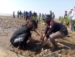 Cegah Abrasi, Mahasiswa UIN Semarang Asal Pati Tanam Ribuan Bibit Mangrove