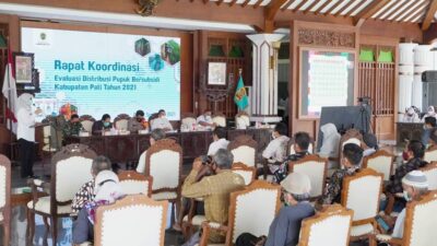 Ternyata Ini Penyebab Pupuk Bersubsidi Langka di Pati