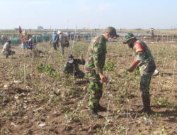 Kodim 0718/ Pati Gelar Pembinaan Lingkungan Hidup di Area Pesisir Pantai Pangkalan