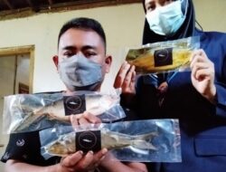 Keren, Inovasi Olahan Ikan Bandeng di Pati Ini Cukup Menjanjikan di Masa Pandemi