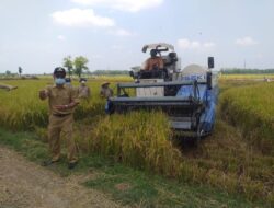 Duh Generasi Milineal Tak Tertarik Jadi Petani