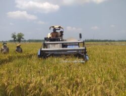Perlunya Insentif Untuk Para Petani
