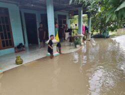 Diguyur Hujan Seharian, Ratusan Rumah di Kecamatan Batangan Terendam Banjir