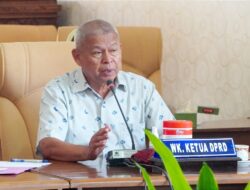 Dewan Pati Sebut Pemanfaatan Hidroponik Bisa Tekan Laju Inflasi